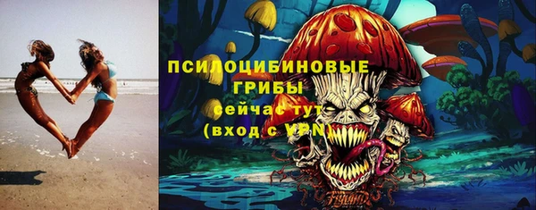 наркотики Белокуриха