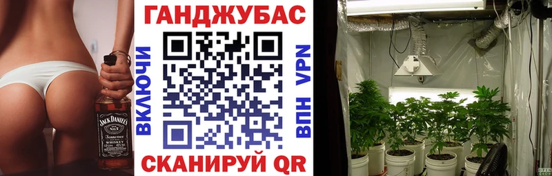 Конопля Amnesia  МЕГА онион  Оха 